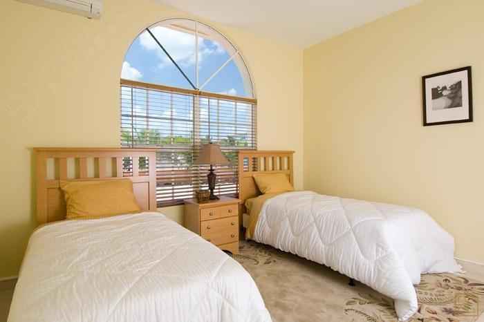 加勒比特克斯和凯科斯群岛棕榈树别墅标准卧室