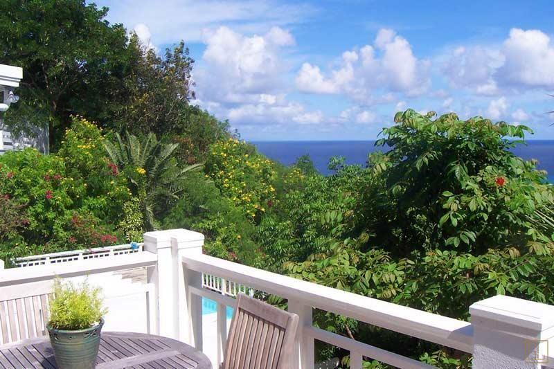 加勒比海圣克鲁斯岛蜻蜓别墅海景