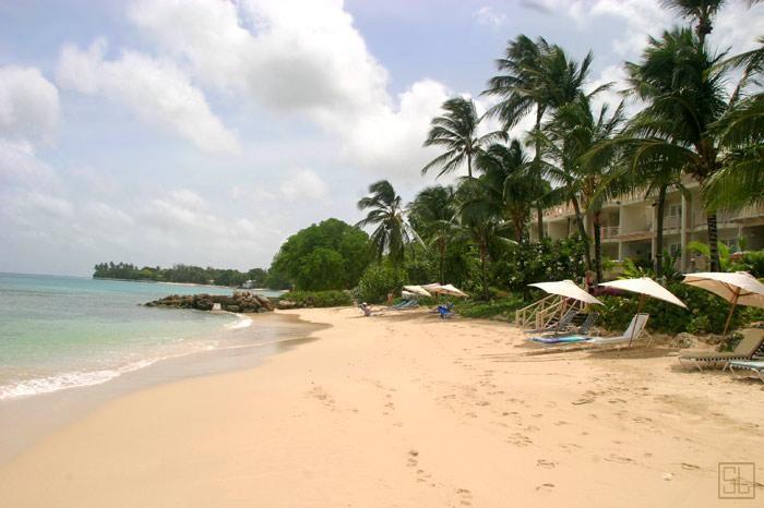 加勒比巴巴多斯岛芦苇湾4号沙滩