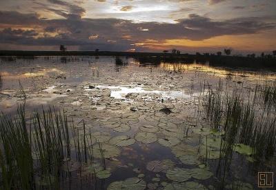 Bamurru Plains - Photo 21