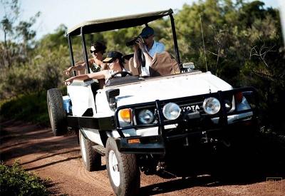 Bamurru Plains - Photo 9