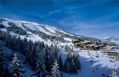 Chalet Shemshak Lodge - Photo 21