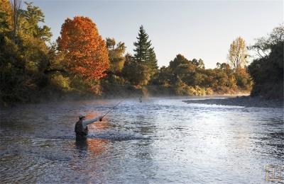 RIVER BIRCHES LODGE - Photo 17