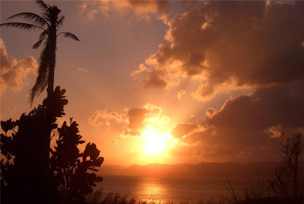 Jusandi - Photo 33
