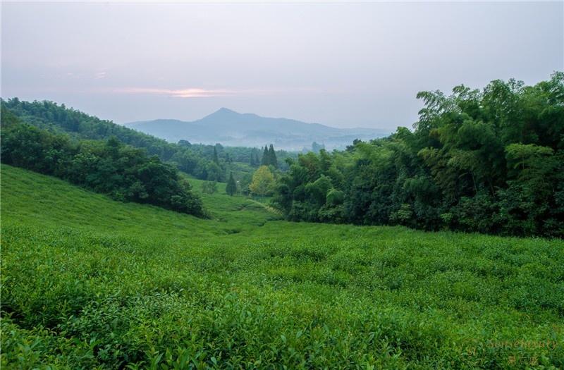 第六感Senseluxury 度假别墅-溧阳美岕山野温泉度假村全景二居室树屋-screenshot-20