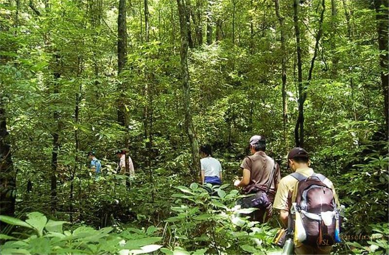 第六感Senseluxury 度假别墅-溧阳美岕山野温泉度假村全景二居室树屋-screenshot-28