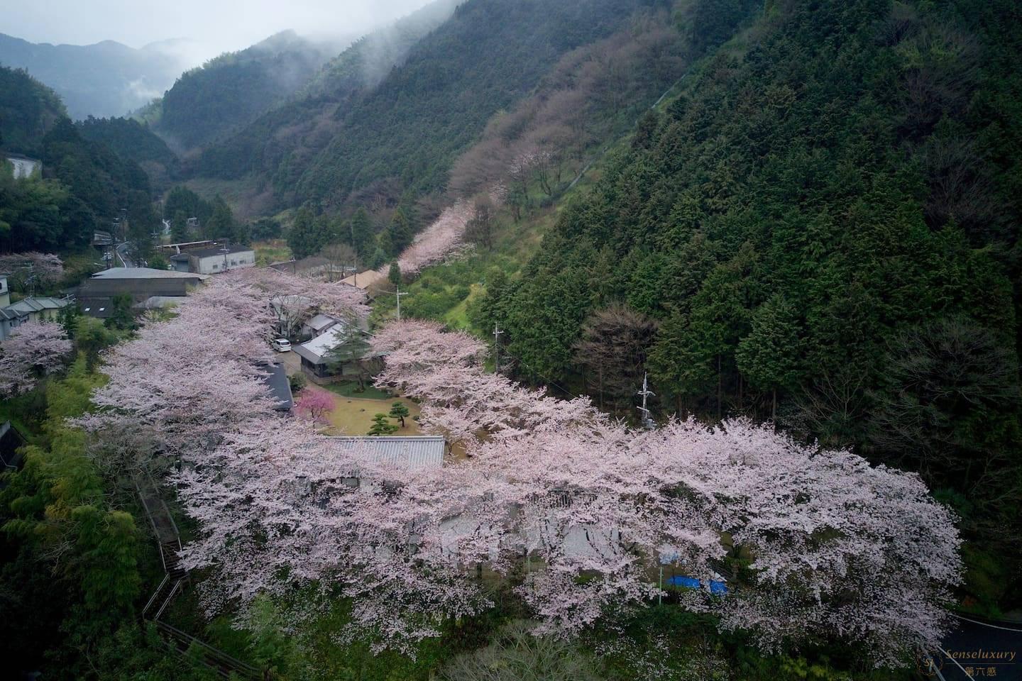 第六感Senseluxury 度假别墅-樱泉山庄-screenshot-0