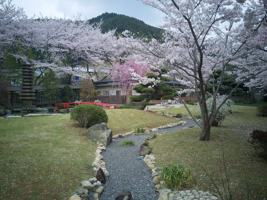 Oukai Villa - Photo 13