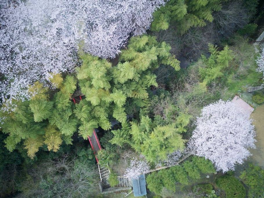 Oukai Villa - Photo 9