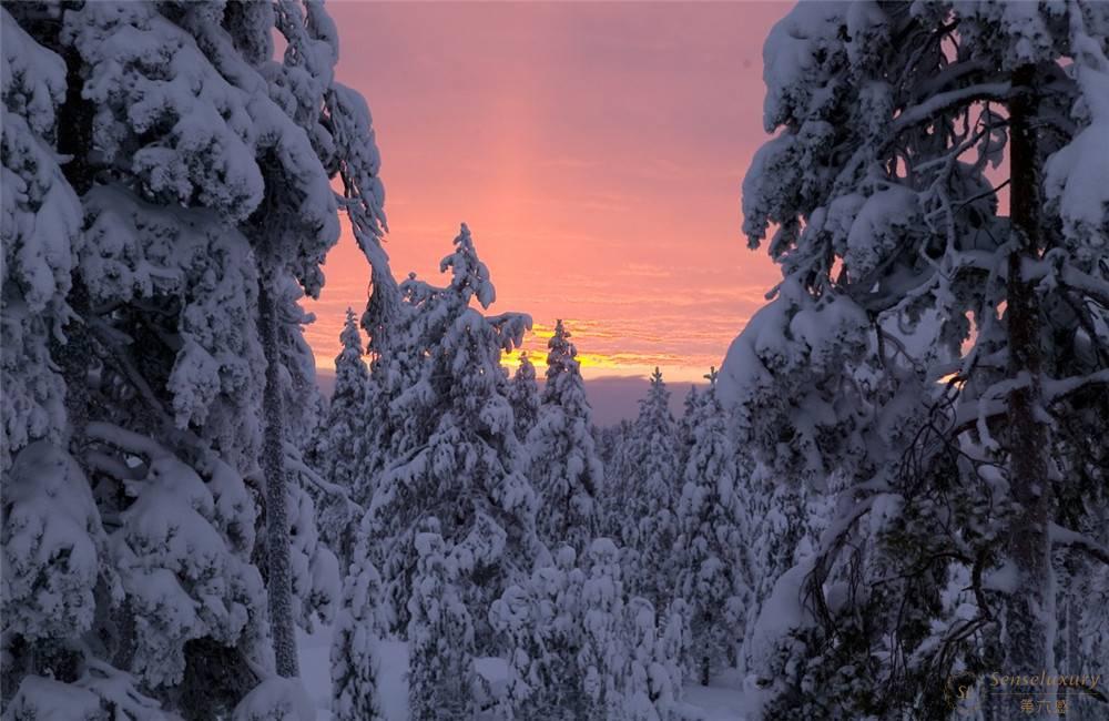 芬兰罗瓦涅米北极树玻璃雪屋雪景