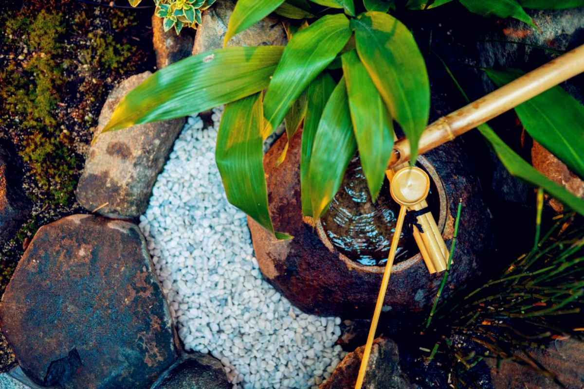 Harukiya - Photo 25