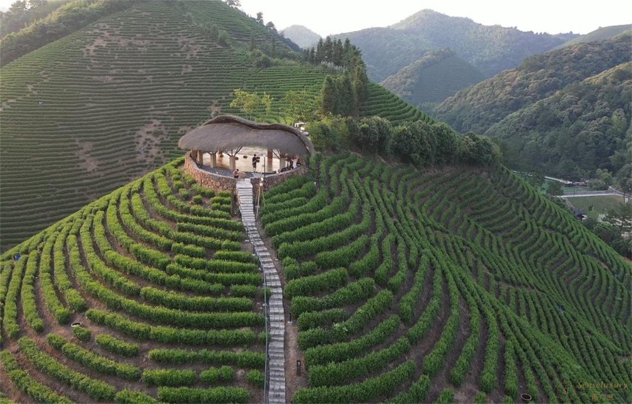 第六感Senseluxury 度假别墅-君澜·安吉老庄山居度假酒店-screenshot-16