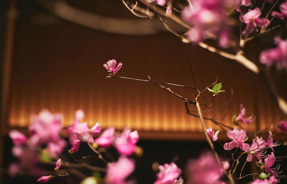 第六感Senseluxury 度假别墅-馥府 京都-screenshot-40
