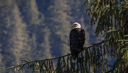 Whittier - Vancouver