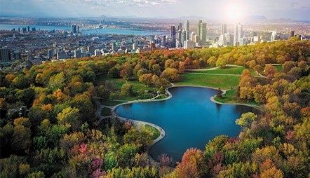 New York - Montréal