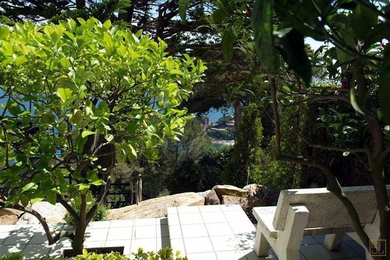 加勒比牙买加地中海别墅茂密树林