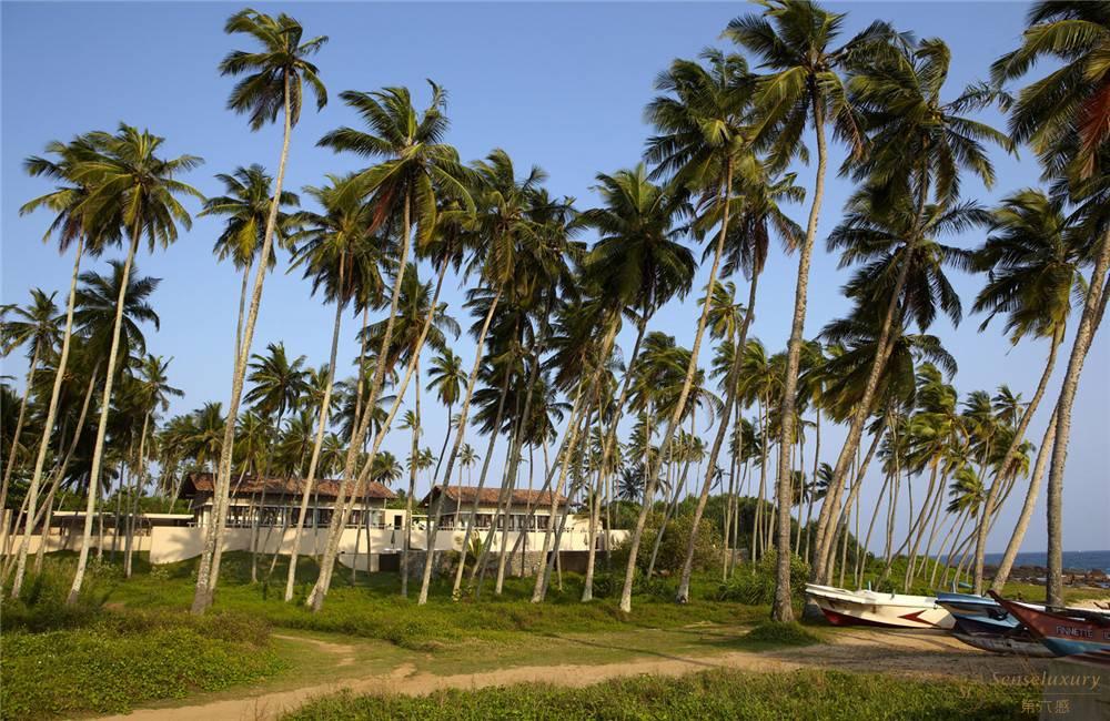 斯里兰卡坦加勒安缦维拉套房风景